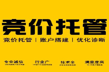 解析SEM托管公司经典案例：如何制定有效的广告策略